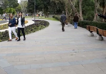 Parktan geçen vatandaşlara arı şoku