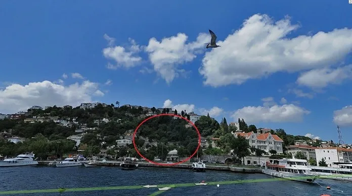 Kurul durdurdu, Koç umursamadı! Tarihi alanda 14 türde 55 ağaç kestiler