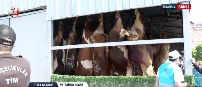 istanbulda-kurban-kesim-alanlarinda-hareketlilik-kurban-kesimi-nasil-yapiliyor-1749196880752.jpg Ekran görüntüsü / A Haber