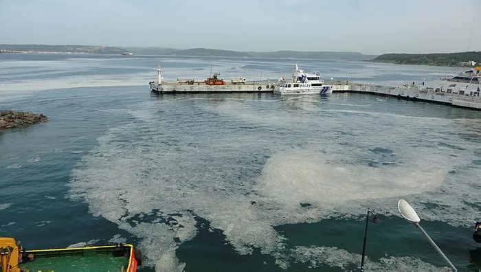 Son dakika: Müsilaja (deniz salyası) karşı yeni yöntem! Yarın düğmeye basılacak - 3