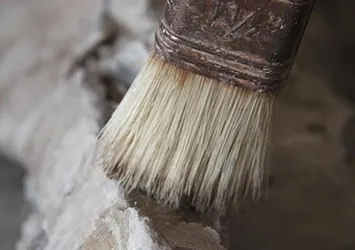 2 milyar yıllık fosil Çankırı'da sergilenecek