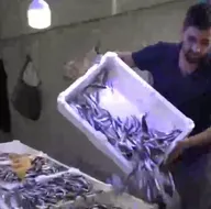 Balık fiyatları nasıl? Hamsi, istavrit, palamut...