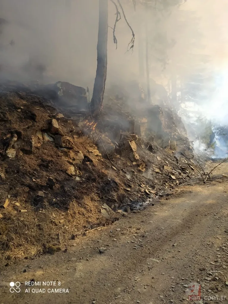 Adana’da çıkan orman yangını kontrol altına alındı 7