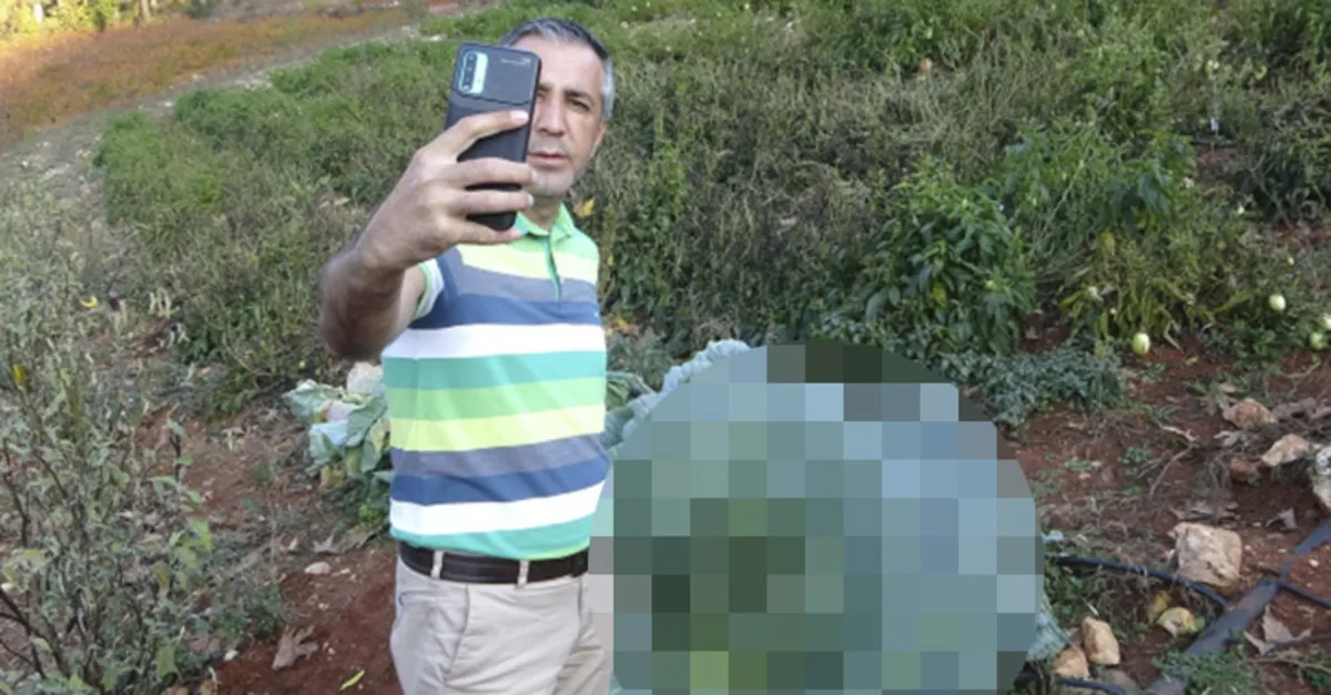 Mersin'de şaşkına çeviren olay! Bahçesine ekti görenler şoke oldu