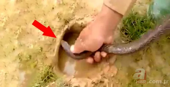 Avlayıp metrelerce ağzında böyle taşıdı! Amatör balıkçılar görüntüledi 12