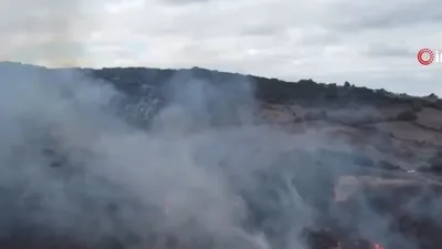 Çanakkale’de orman yangını