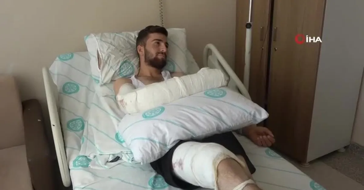 Su içmek isterken dünyanın en zehirli yılanı soktu