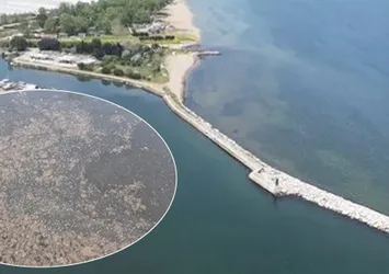 CHP'li belediyeden kanalizasyon skandalı! Kirli su denize akıtıldı bakanlık harekete geçti: 4 milyon TL ceza