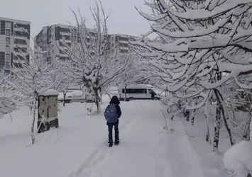 Bitlis'te kar yağışı; 80 köy yolu kapandı