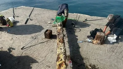 Balıkçıların ağına takıldı! 3 tonluk...