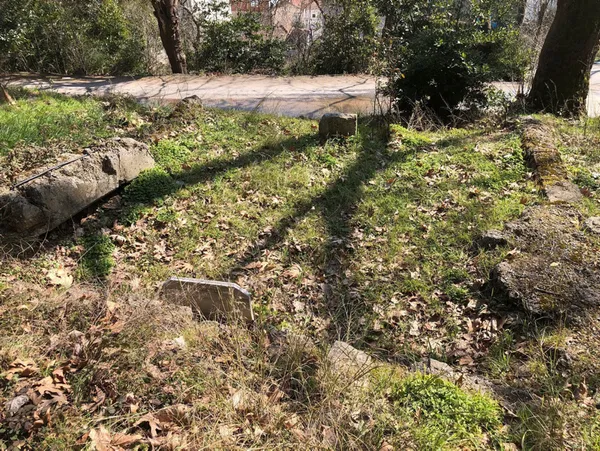 Şehitlere büyük saygısızlık! İBB kontrolündeki tarihi tekkeden utandıran görüntüler