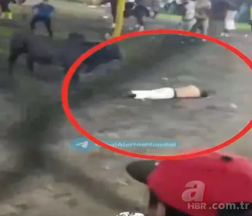Son arenası oldu! Boğanın boynuz darbeleriyle hayatını kaybetti 5