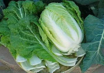 Marulun içinden yaratık çıktı!