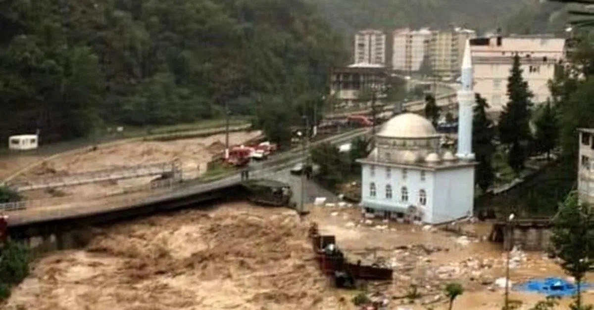 Artvin'in Borçka ilçesinde sel | Video