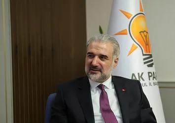 İBB'nin at katliamını gözler önüne serdi: Öldü denilen atların ölüm belgesi yok!