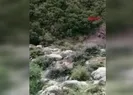 Son görüntüleri ortaya çıktı
