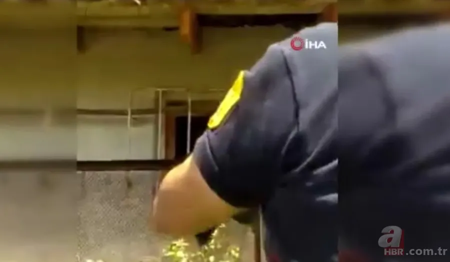 Kastamonu’da itfaiye ekiplerinin 2 metrelik yılanla imtihanı kamerada🐍 3