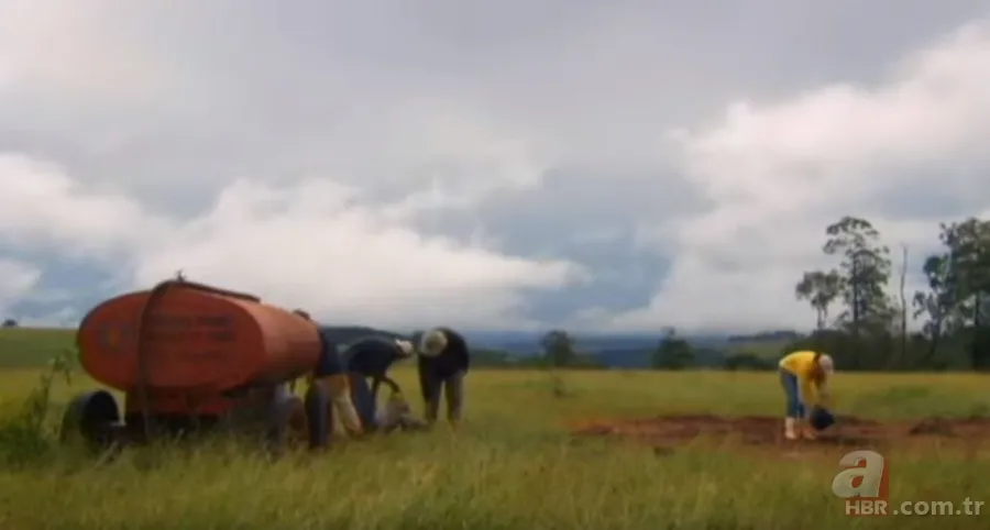 Karınca yuvasından sanat eseri çıktı 🐜 Vahşi doğanın usta mimarları! Otoban, yan yol ve patika bile yapmışlar 9