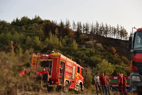 Yanan bölgelere hangi tür ağaçlar dikilecek? Harekete geçildi