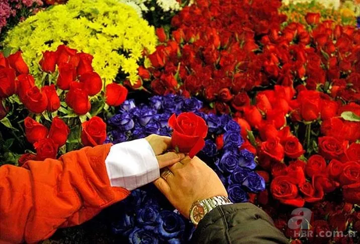 Antalya'dan dünyaya sevgi eli: 14 Şubat öncesi 70 milyon çiçek ihracatı 6