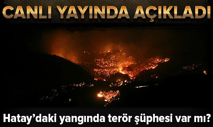 Hatay'daki yangından terör şüphesi var mı?