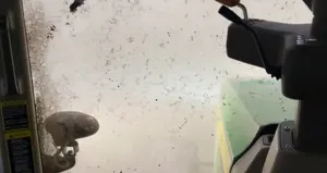 Tarlasında fırtınaya yakalandı