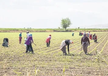 Çiftçi ve esnafa yeni kredi desteği geliyor