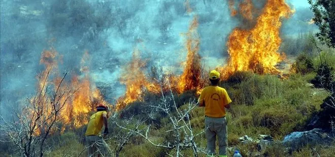 Orman yangınları için fon kurulacak! Orman yakan da tutuklanacak