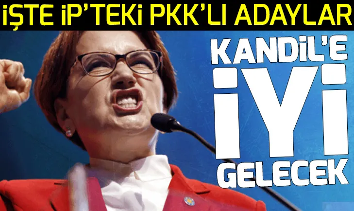 İşte İYİ Partinin 31 Mart seçimleri aday listesindeki PKKlılar!