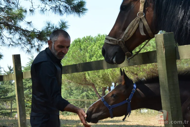 Kurtlar Vadisi'nin Memati'si Gürkan Uygun'un mutlu günü! Güzel haberi eşi Şebnem Ceylan paylaştı 24