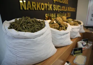 Şanlıurfa tarihinin en büyük operasyonu! Uyuşturucu tacirlerine darbe: 86 gözaltı