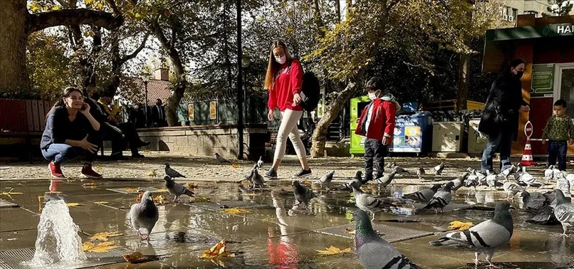 Türkiye'de son 50 yılın en sıcak dördüncü kasım ayı yaşandı