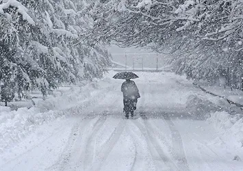 Kar ve kış sporlarıyla ünlü Sapporo kentinde havalar erken ısındı