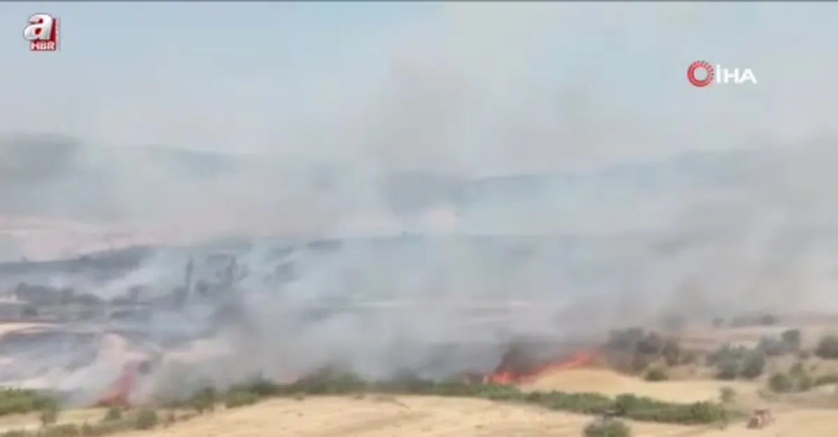 Balıkesir Kepsut'ta arazi yangını