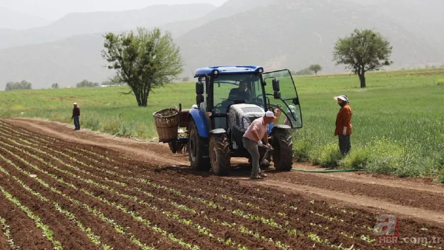 Mazotun tamamı, gübrenin yarısı devletten: Çiftçinin maliyeti düşecek 2