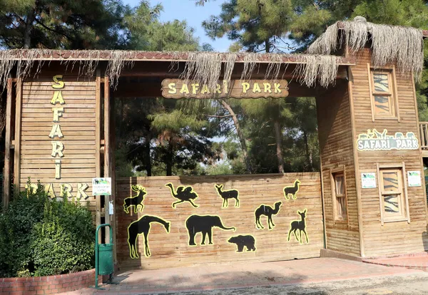 Türkiye'nin ilk ve tek safari parkına yoğun ilgi - 4