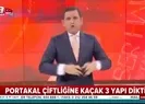 Fatih Portakal’ın kaçak çiftliği