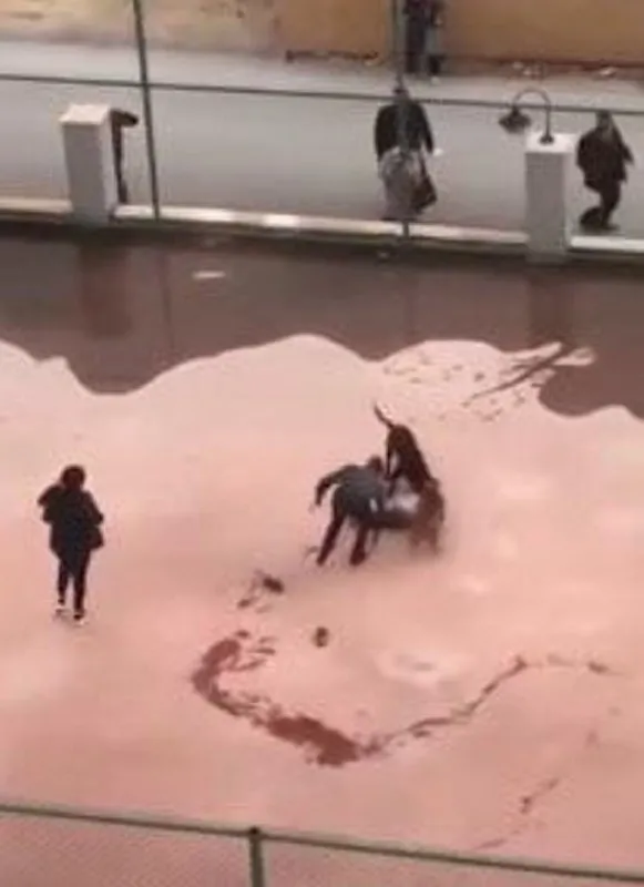 Gaziantep'te iki pitbulun dişleri arasında ölümden dönen Asiye Ateş'ten haber var! İlk sözleri bakın ne oldu