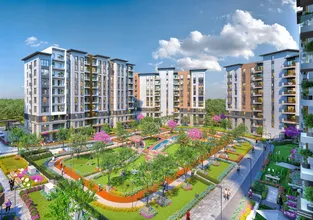 Emlak Konut'tan faizsiz konut! 3 model yüzde 26 indirim 3 yıl erteleme