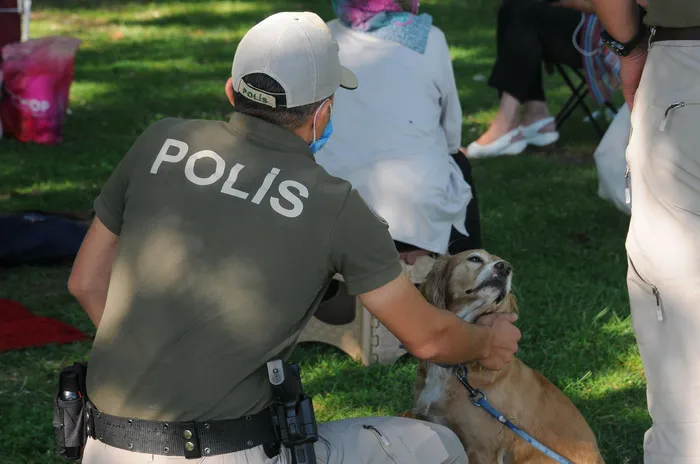 Bakanlığın talimatıyla 81 ilde kuruldu: Doğa ve hayvan polisi görev başında - 1