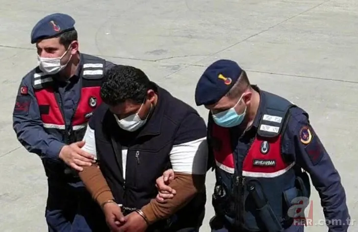 Dalaman’daki orman vurgununda detaylar ortaya çıktı! 25 kişi gözaltına alınmıştı