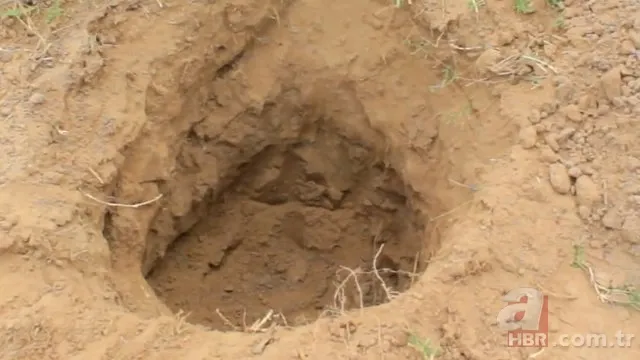 Öyle bir şey yaptı ki! Herkes hayran kaldı... 5