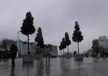Taksim'deki manolya ağaçları beğenildi