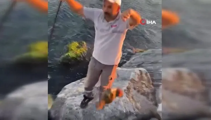 İstanbul Pendik’te şoke eden olay! Balıkçının oltasına öyle bir şey takıldı ki…