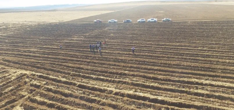 Ağaç dikme seferberliği için tüm Türkiye hazır! Saat 11.11’de 11 milyon fidan dikilecek