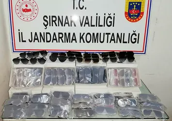 Şırnak’ta kaçakçılık operasyonu: 73 gözaltı