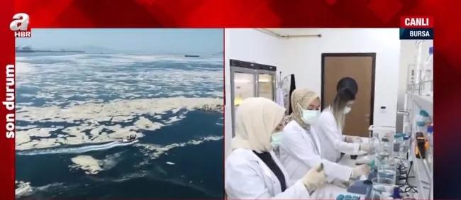 Müsilaj tarıma kazandırılacak! Müsilajdan tarım katkı maddesi ve biyoyakıt üretimi yapılacak - 3