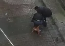 İstanbul’da pitbull dehşeti
