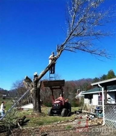 Lise bahçesindeki ağaca yıldırım düştü! 6 metrelik ağaç ortadan ikiye ayrıldı 22