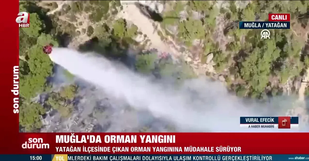 Muğla Yatağan’da orman yangını